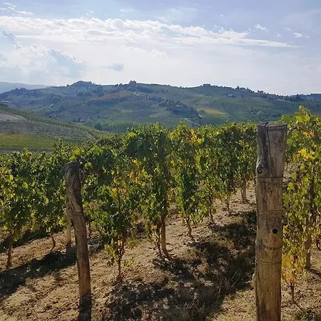 Vecchio Torchio Vakantieboerderij *